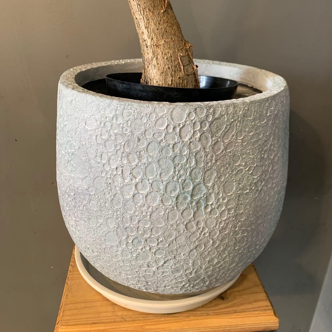 シルバーボーイ