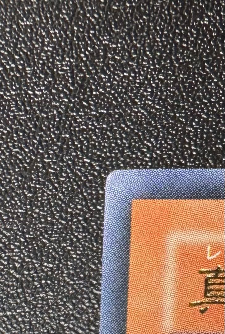 真紅眼の闇竜/レッドアイズダークネスドラゴン/ ドラゴン族/遊戯王/レリーフ