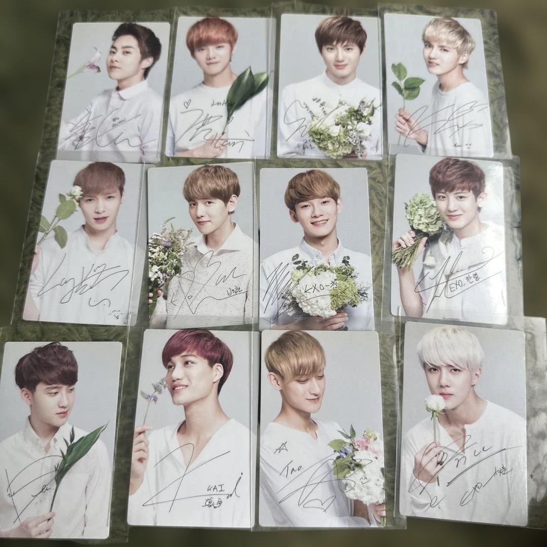 EXO NATURE REPUBLICトレカ12枚セットプラス1枚