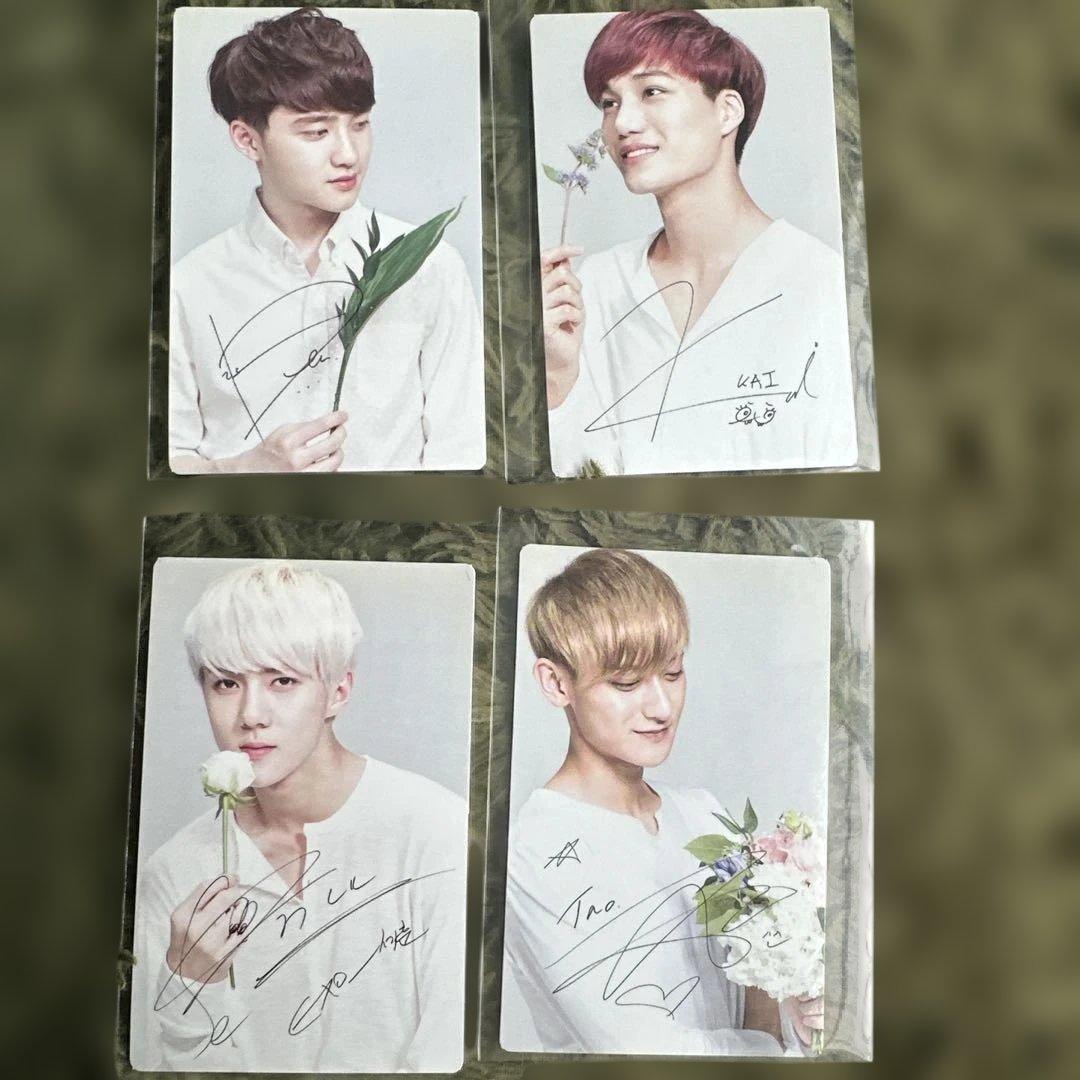 EXO NATURE REPUBLICトレカ12枚セットプラス1枚