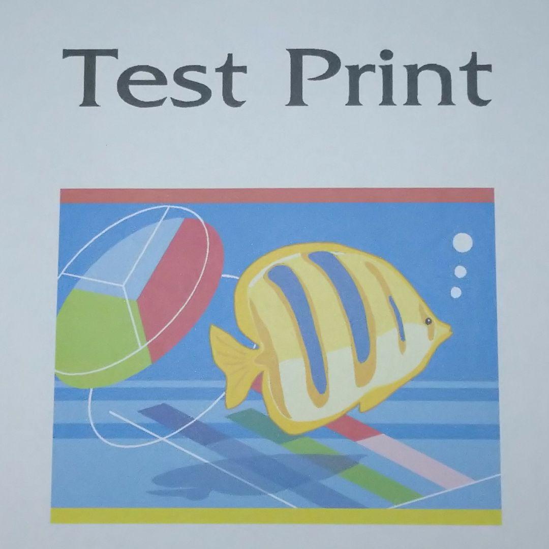 リコー SG2200 A4対応 無線LAN プリンター本体 ジェルジェット