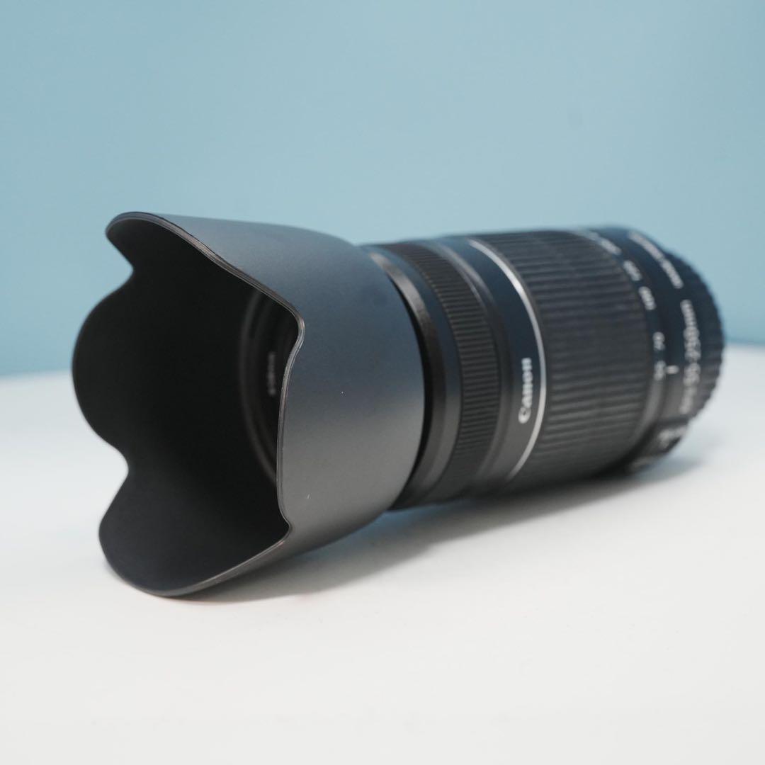 Canon純正 55-250mm 標準+望遠レンズ 美品 a4689