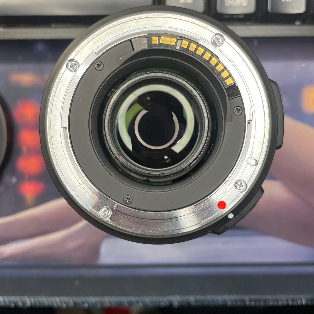 SIGMA 17-50 F2.8 DC EX HSM canon ジャック