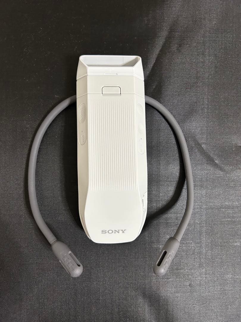 【美品】SONY REON POCKET PRO　ソニー レオンポケットプロ