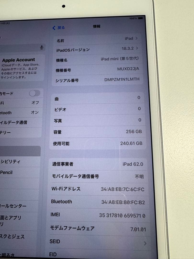 iPad mini (第5世代) Wi-fi+Cellular 256GB