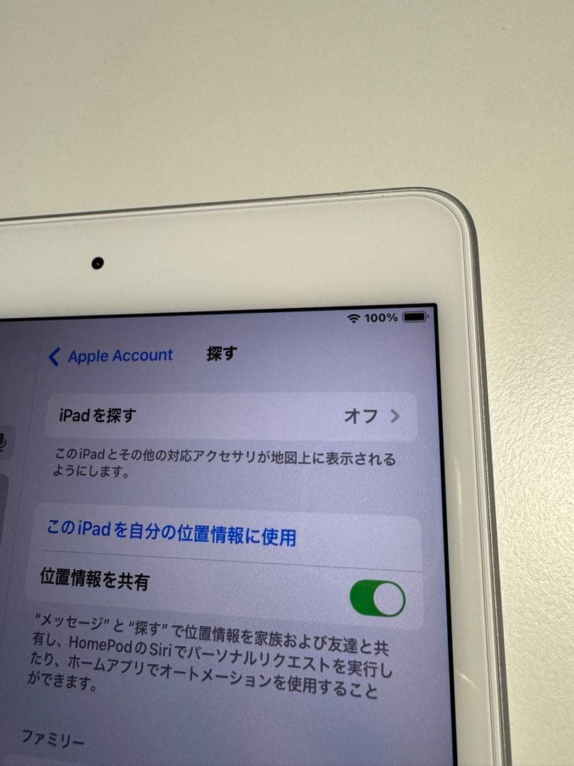 iPad mini (第5世代) Wi-fi+Cellular 256GB
