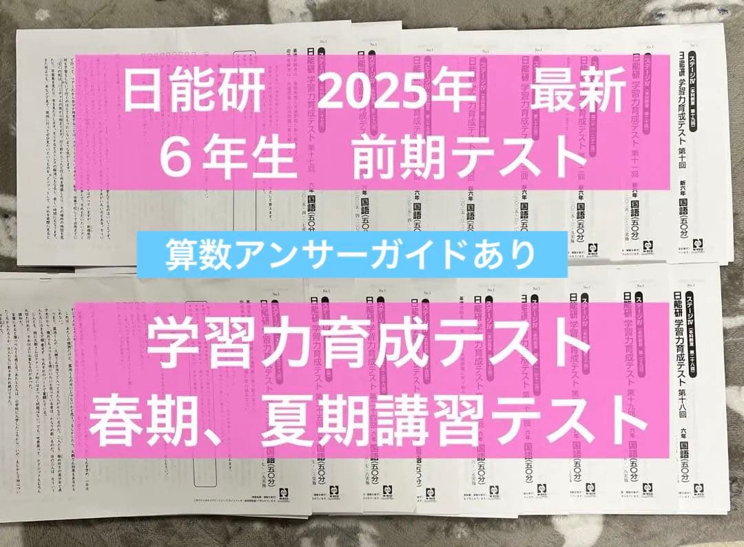 2025年度　最新　日能研　６年生　育成テスト　講習テスト他