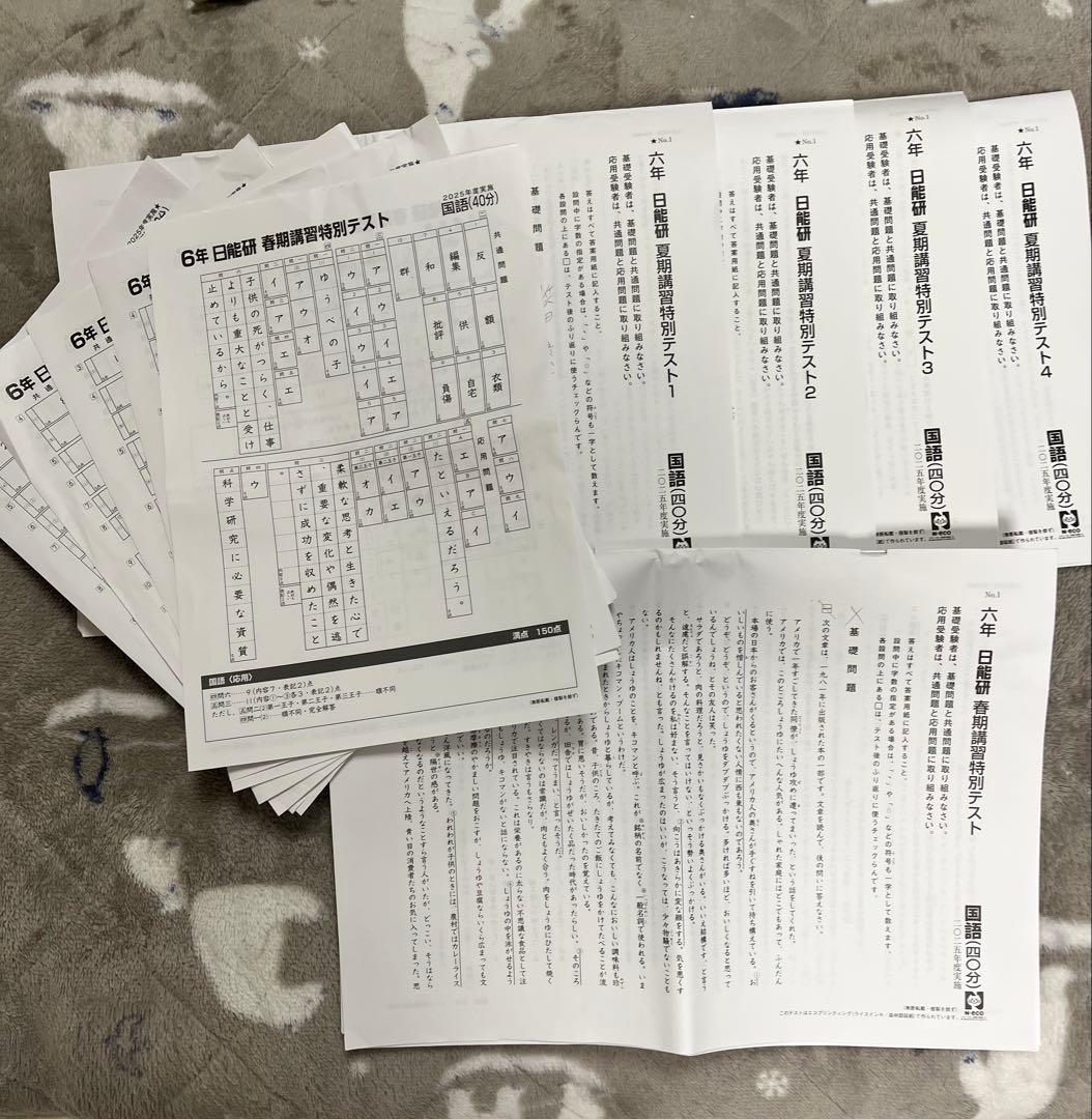 2025年度　最新　日能研　６年生　育成テスト　講習テスト他