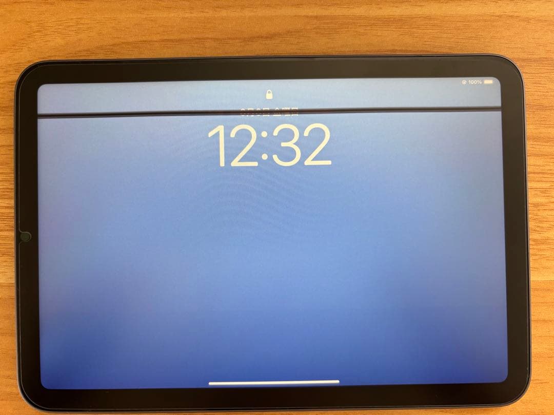 【ジャンク】iPad mini 第６世代 256GB WiFiモデル