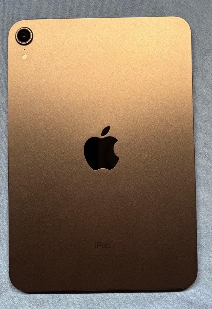 【ジャンク】iPad mini 第６世代 256GB WiFiモデル