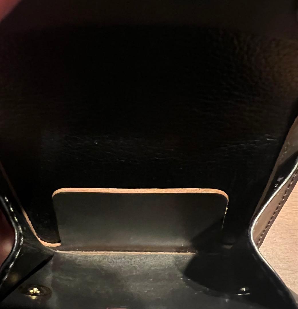 最終価格《フルコードバン》ワイルドスワンズ タング オリジナルコードバン