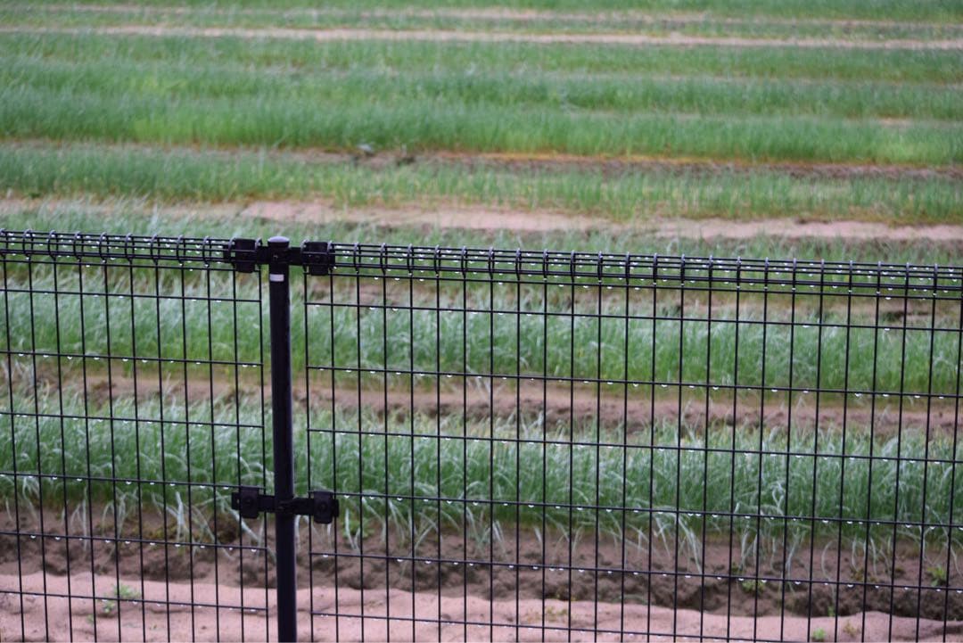 良品Nikon 55-300mm VR 手ぶれ補正付 望遠 フード・ポーチ付