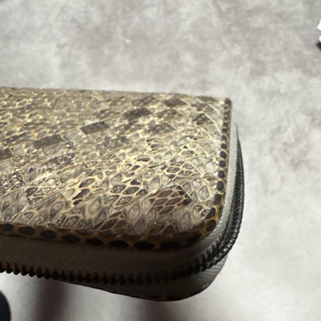 bottegavenetaパイソン