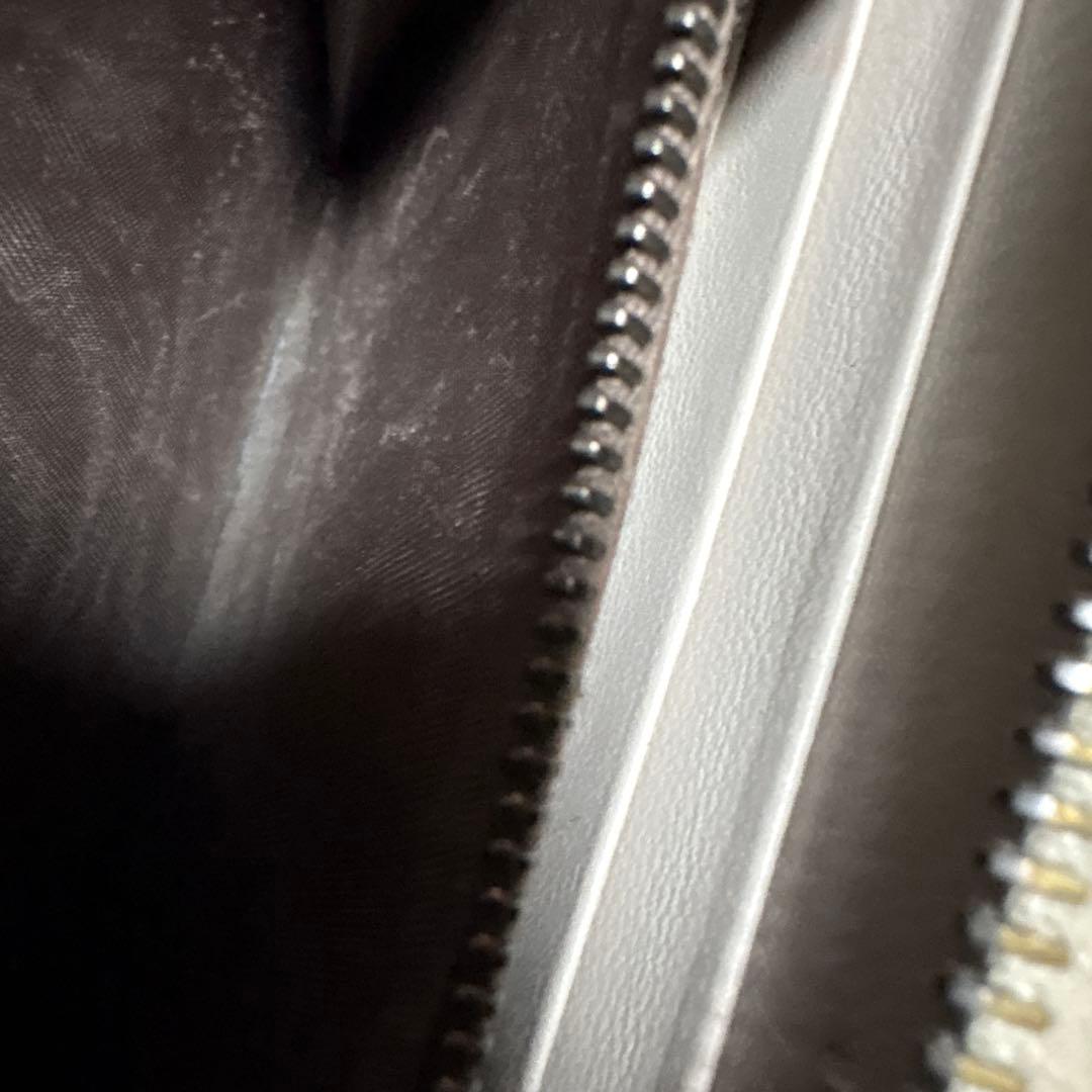 bottegavenetaパイソン