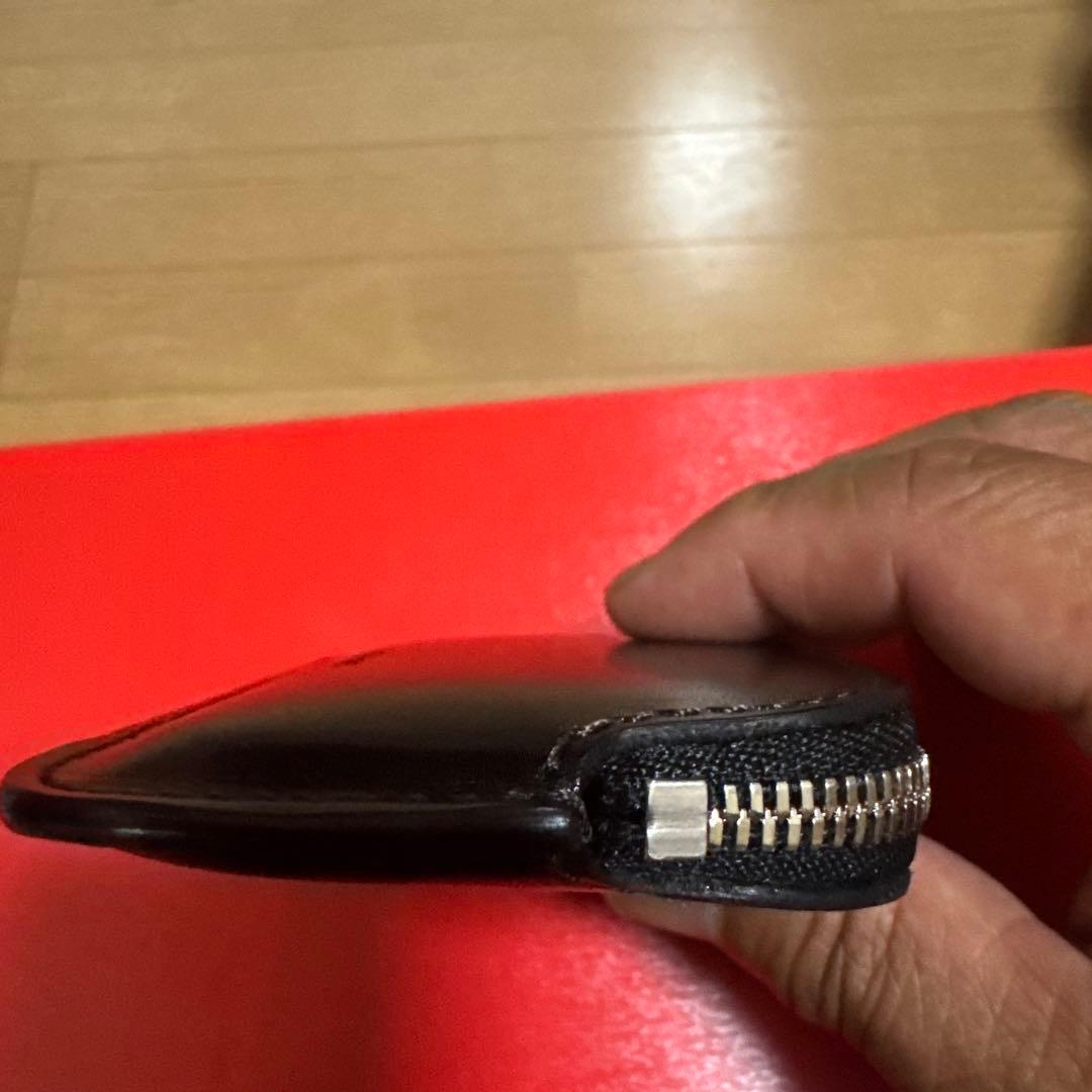 ワイルドスワンズ　　ミナス