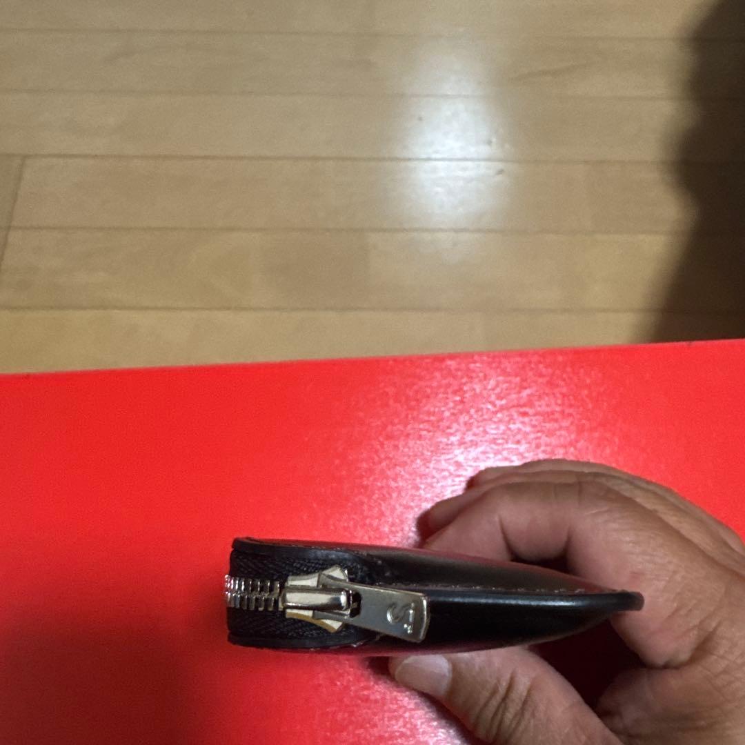 ワイルドスワンズ　　ミナス