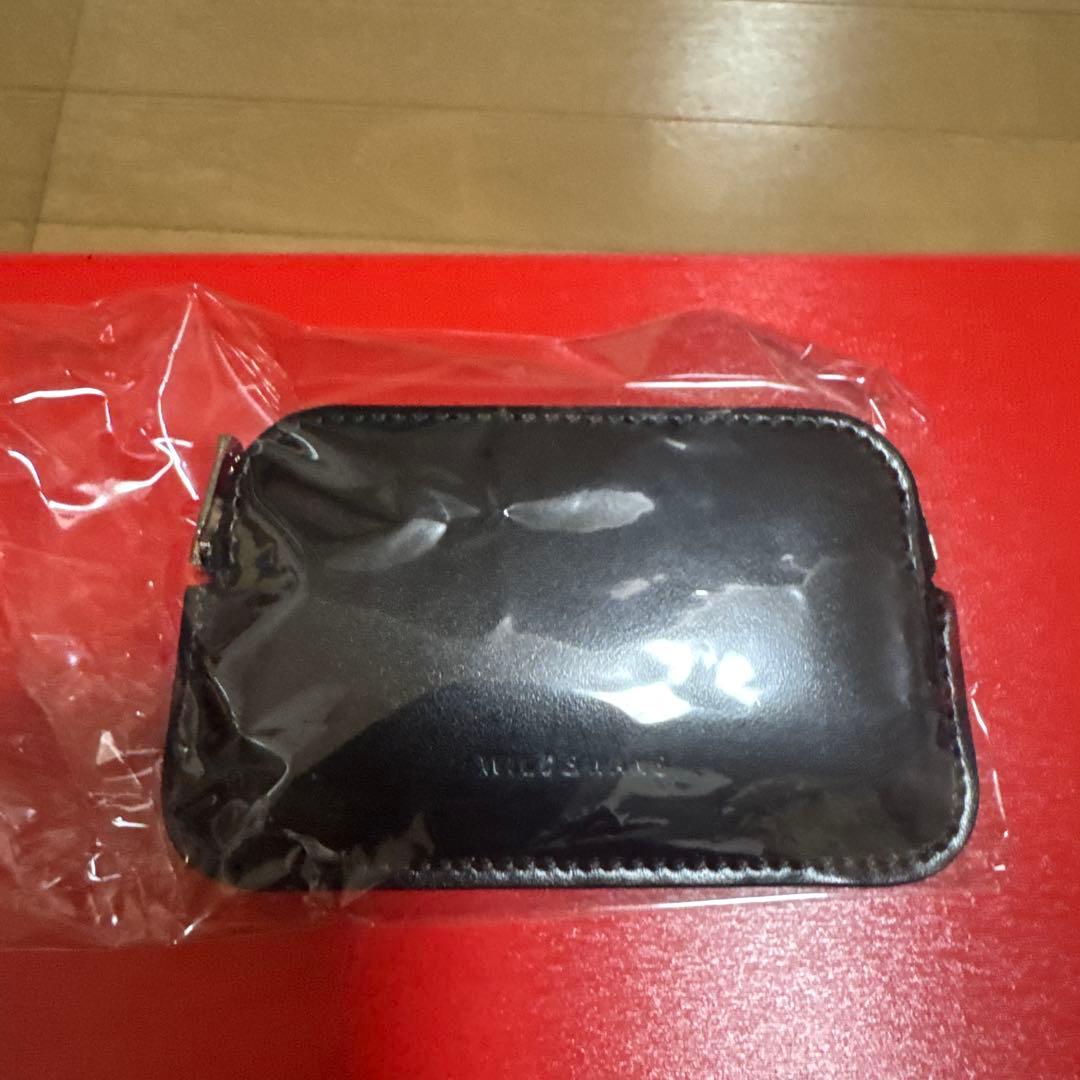 ワイルドスワンズ　　ミナス