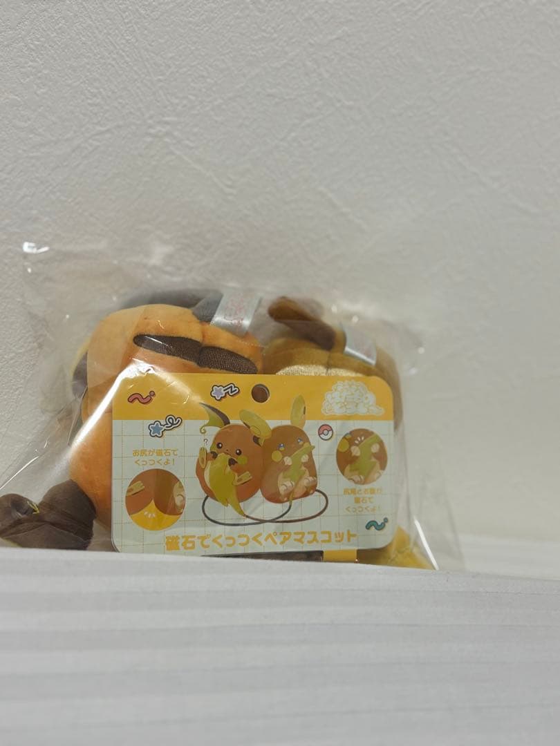 ポケセン　にたものどうしライチュウ