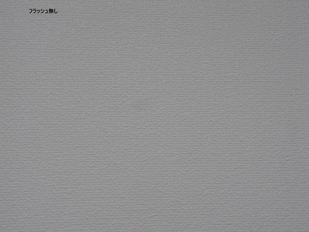 RICOH R10 コンパクトデジタルカメラ