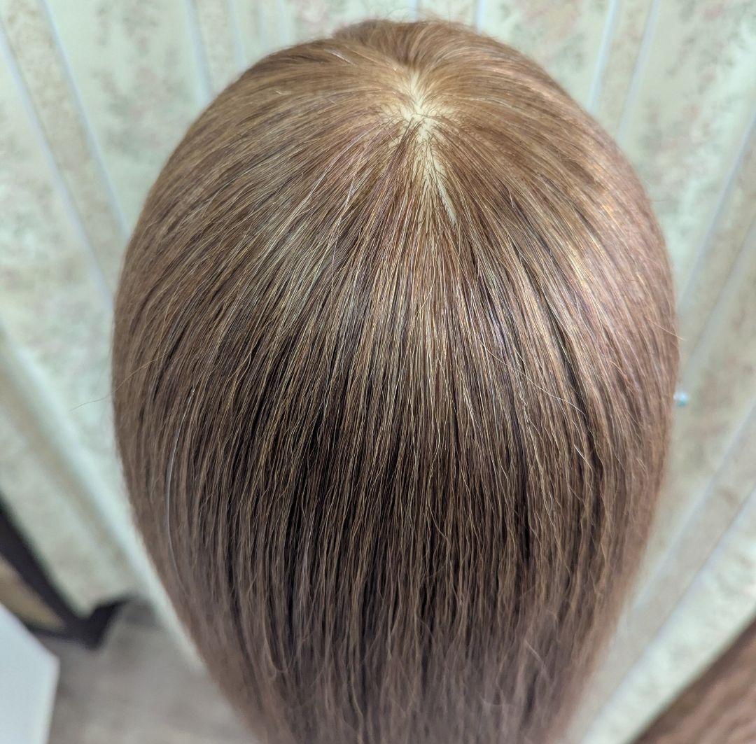 ✨️美品送料込✨️値下交渉可✨️M-10BR アップスタイル アレンジ ウィッグ