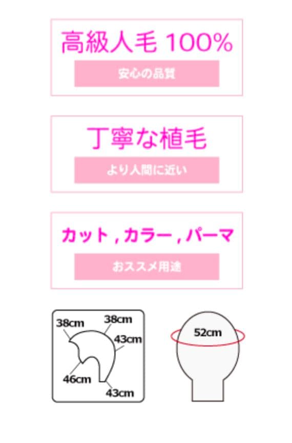 ✨️美品送料込✨️値下交渉可✨️M-10BR アップスタイル アレンジ ウィッグ