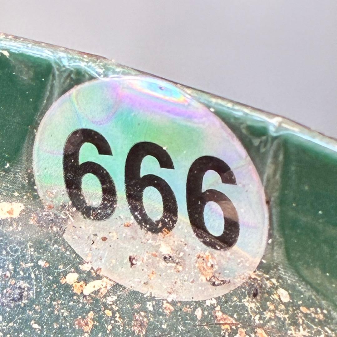 清*子様 ☘️蕾☘️タグ付き☘️根充実❤️沢山新芽元気株❤️666⭐️極上⭐️最