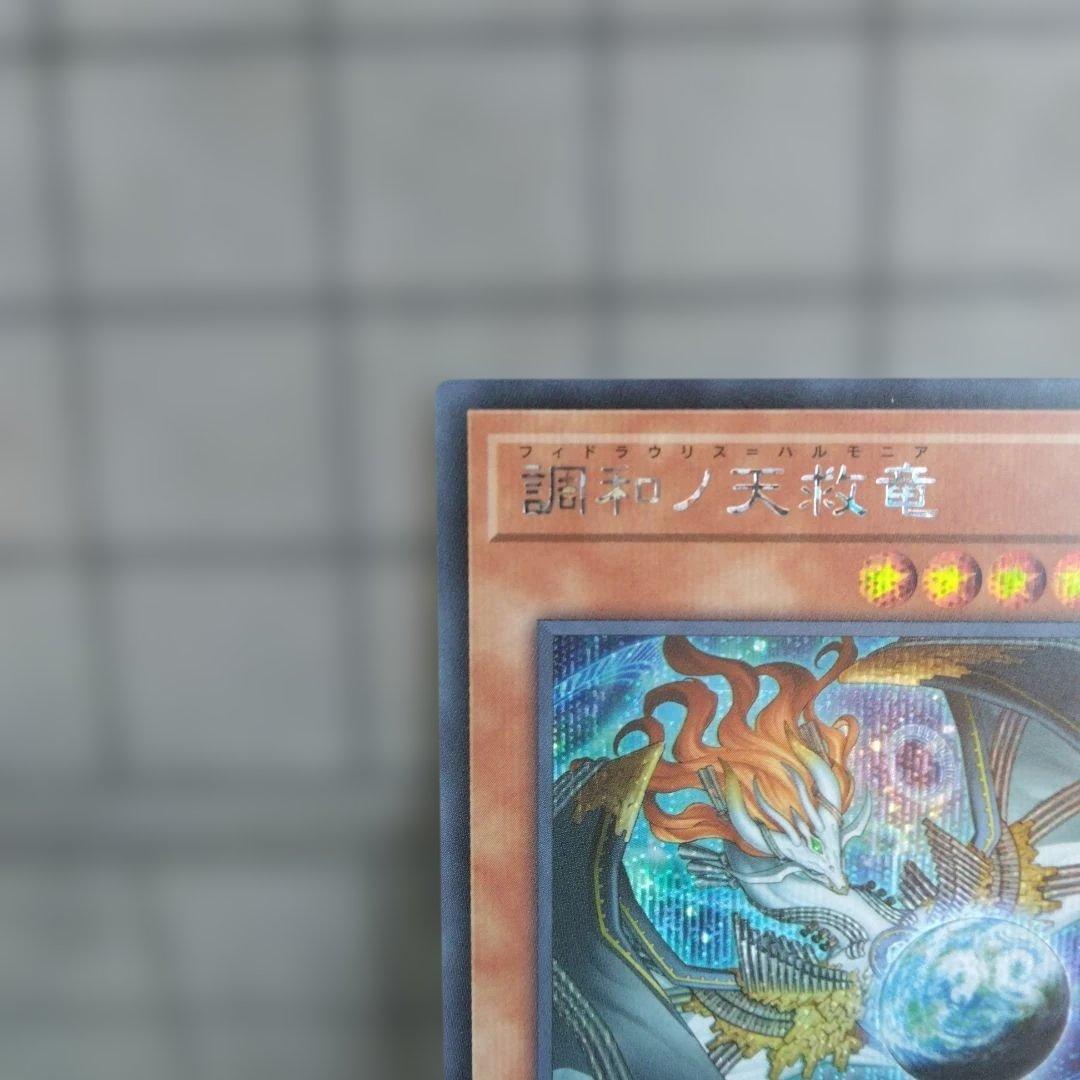 メ*タ様 遊戯王　調和ノ天救竜 シークレット