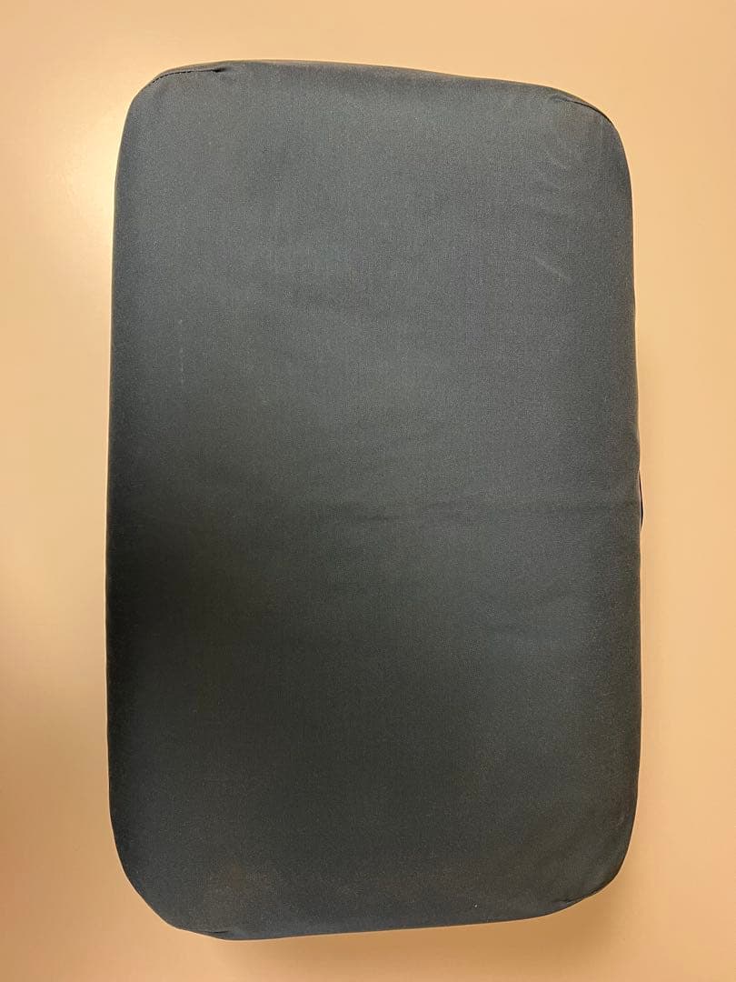 アークテリクス　トラベルバッグ　2way