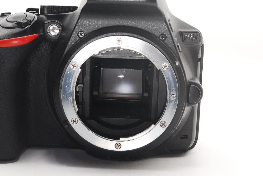 【初心者人気】Nikon D5500 ダブルズーム Wi-Fi内蔵 手振れ補正
