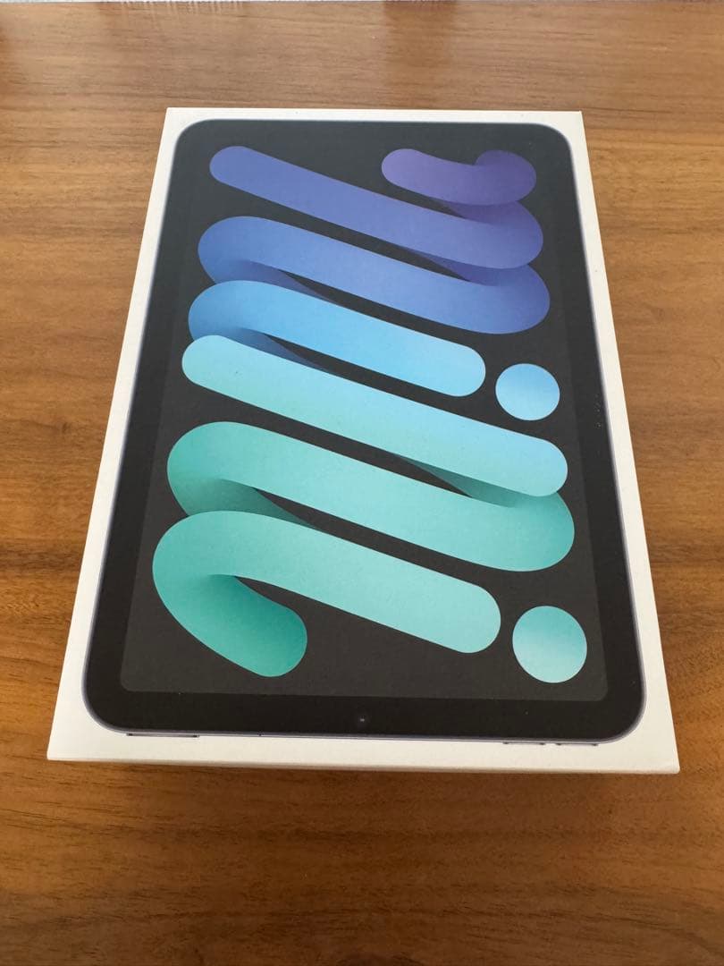 【美品】iPad mini6 64GB Wi-Fi スペースグレイ 箱付