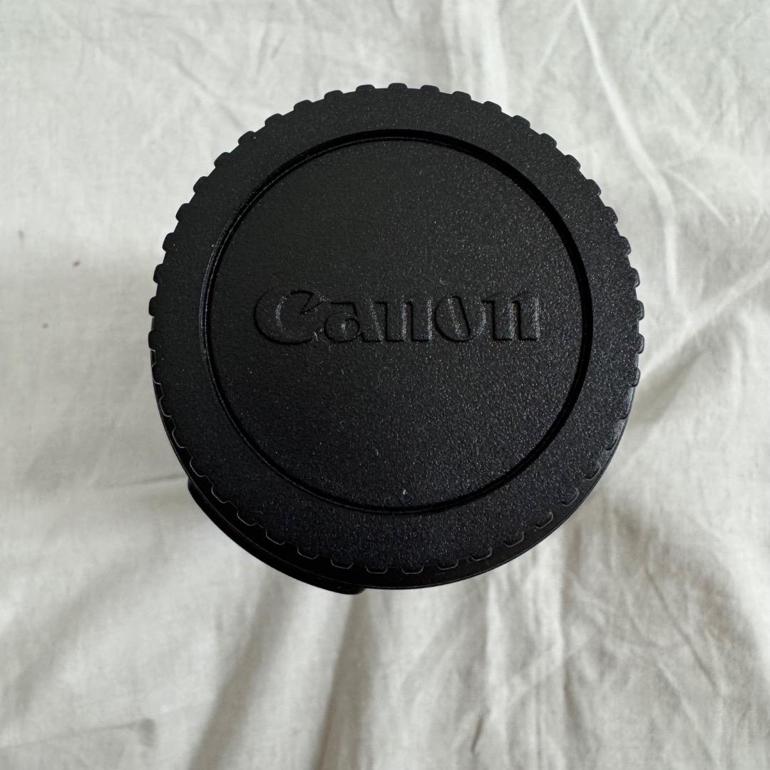 Canon EF-S 55-250mm ズームレンズ