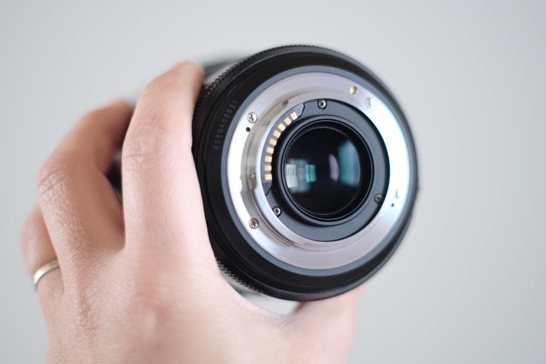 訳アリ LEICA D VARIO-ELMARIT 14-50mm