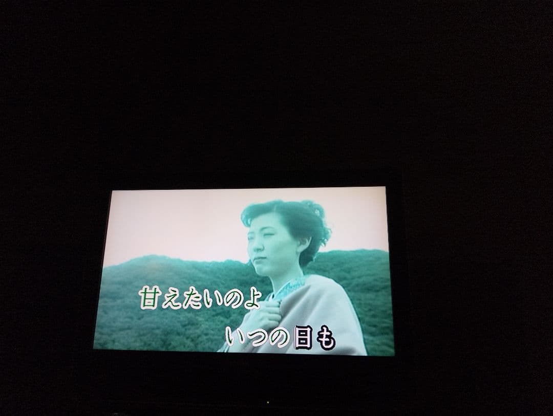 花*利様 家庭用、G50II，動作品。楽曲2010年頃、