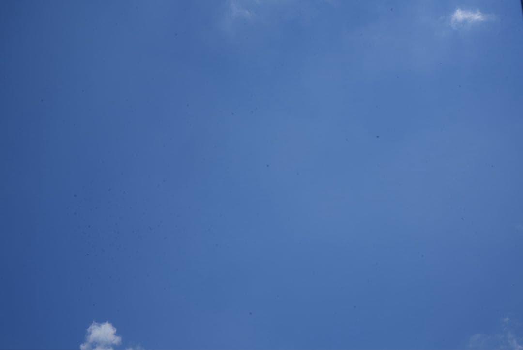 TAMRON 20-40mm F/2.8 (SONY Eマウント）