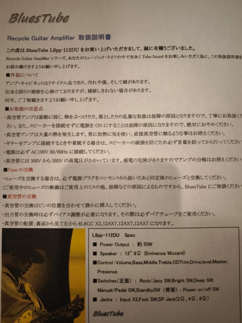 ☆彡リサイクルギターアンプ工房 BLUES TUBE ダンブル