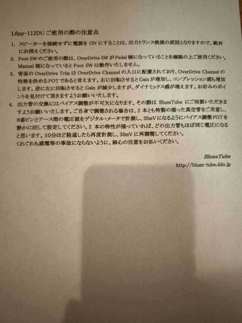 ☆彡リサイクルギターアンプ工房 BLUES TUBE ダンブル