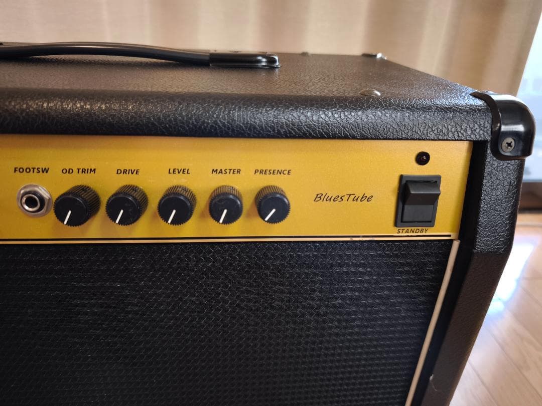 ☆彡リサイクルギターアンプ工房 BLUES TUBE ダンブル
