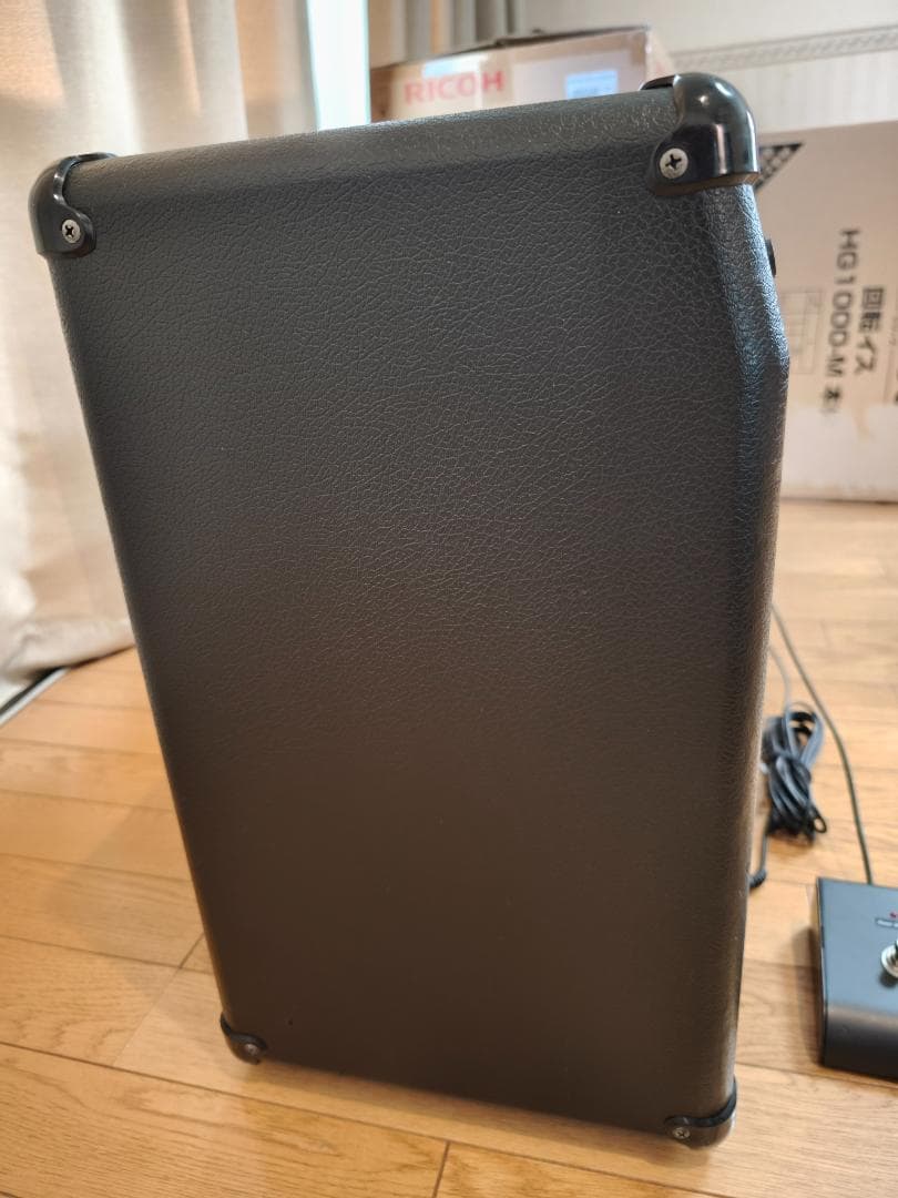 ☆彡リサイクルギターアンプ工房 BLUES TUBE ダンブル