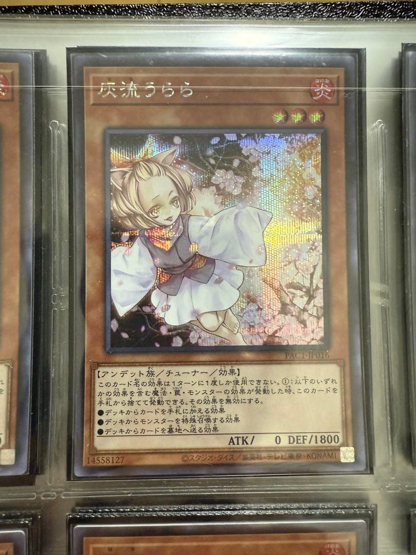 遊戯王OCG カードコレクション　引退品