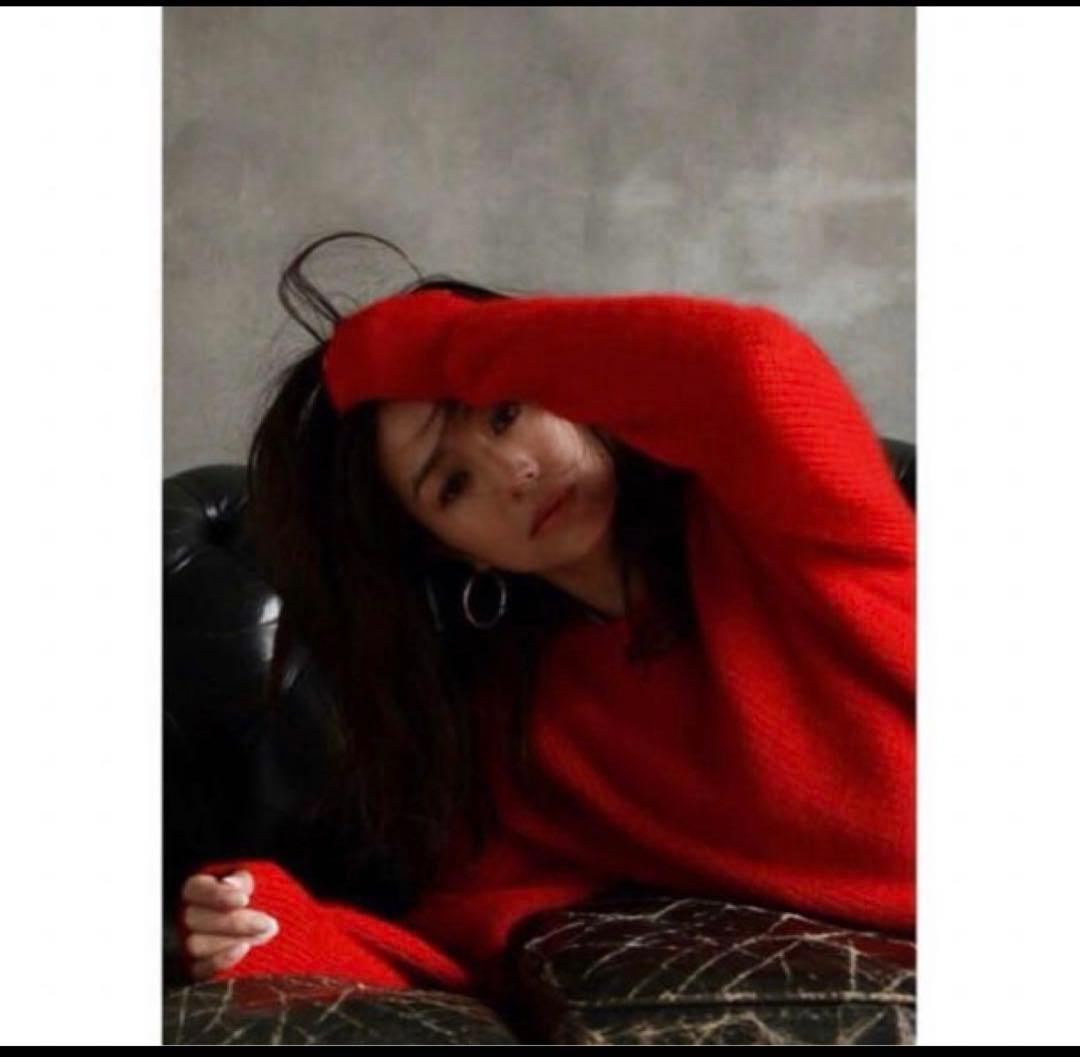 loin.【美品】希少 モヘアニット 井川遥 ロワン