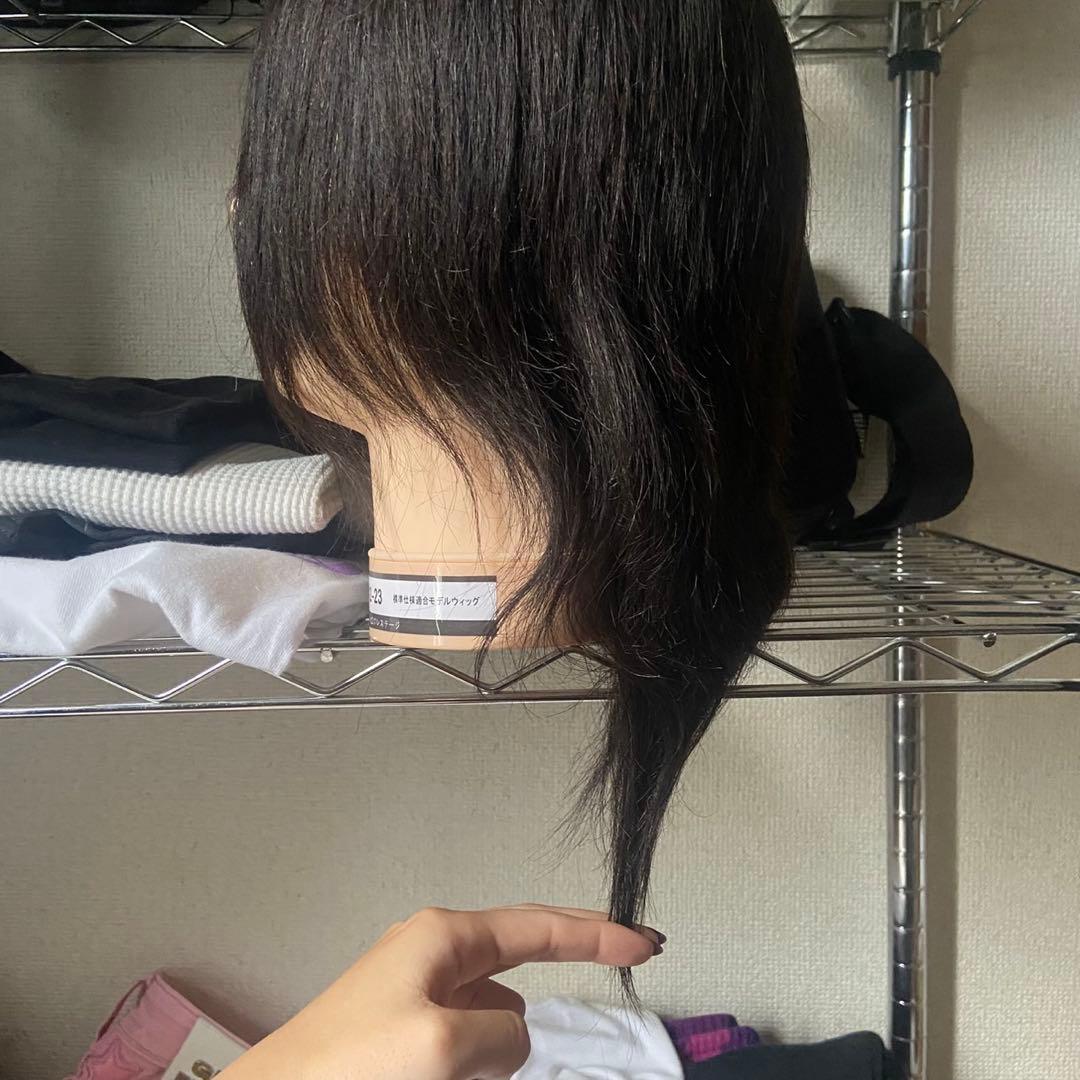 国家資格試験用カットウィッグ19体