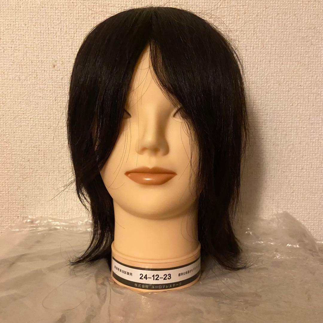 国家資格試験用カットウィッグ19体
