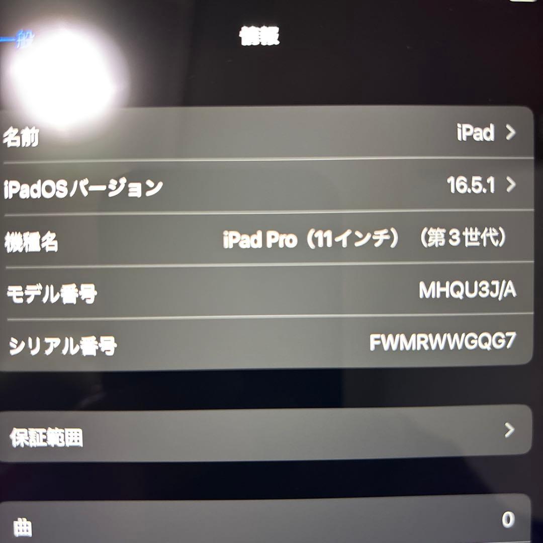 極美品 バッテリー100% 256 WiFi iPad Pro 本体 第3世代