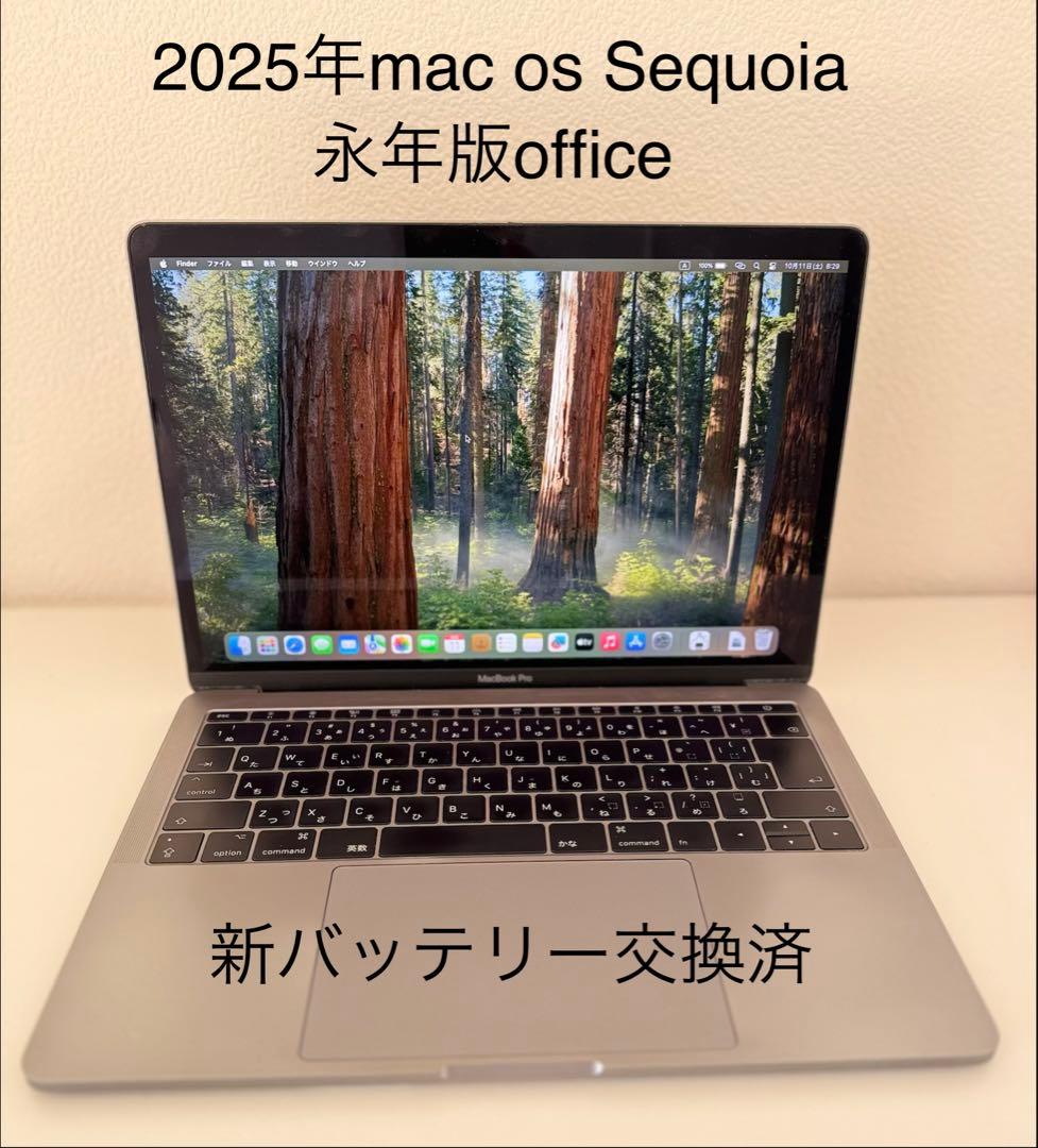 美品 Macbook Pro 2017 13インチ最新mac os 新バッテリー