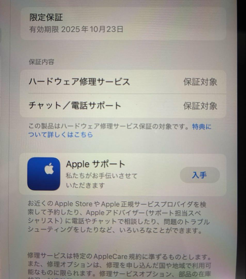 iPad mini (第7世代) 128GB パープル