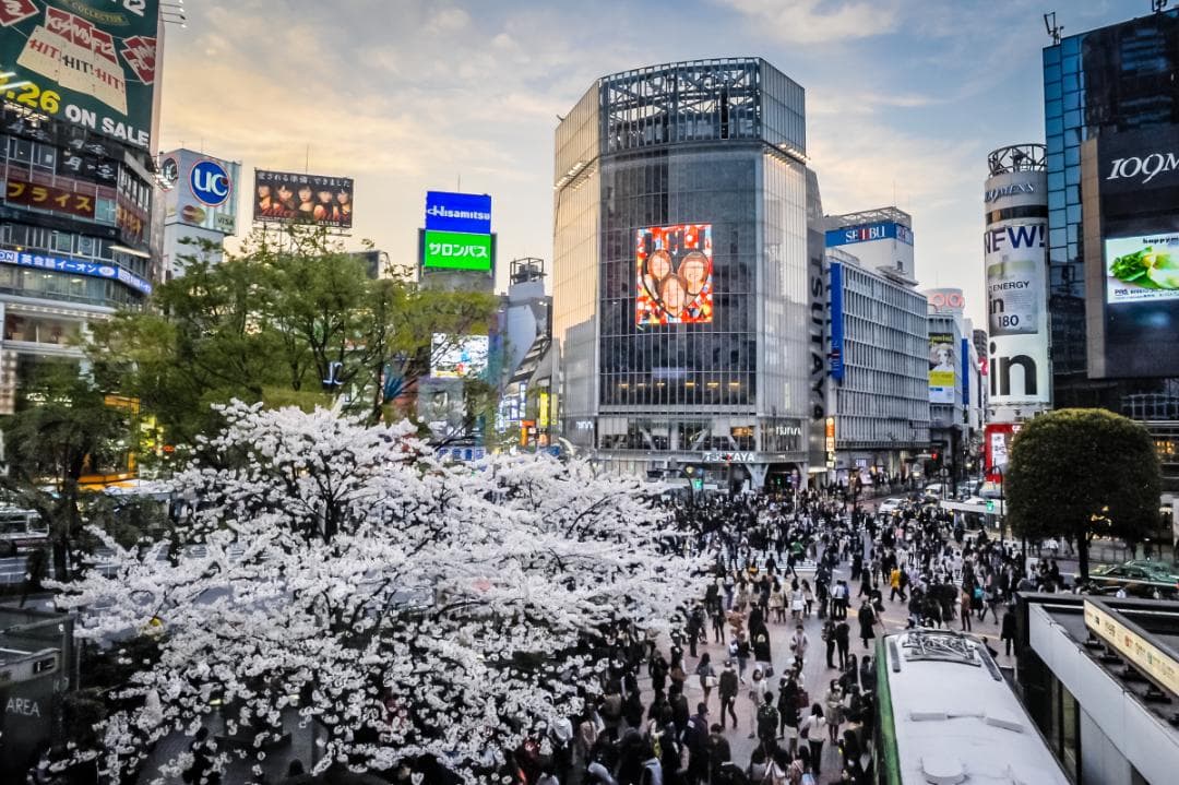 美品 Nikon AF Nikkor 24mm f/2.8D レンズ – 日本製