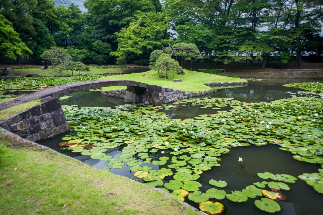 美品 Nikon AF Nikkor 24mm f/2.8D レンズ – 日本製