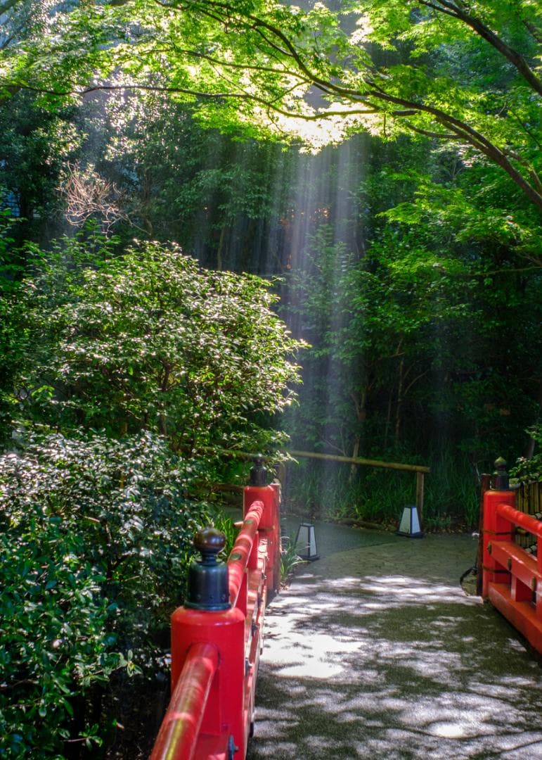 美品 Nikon AF Nikkor 24mm f/2.8D レンズ – 日本製