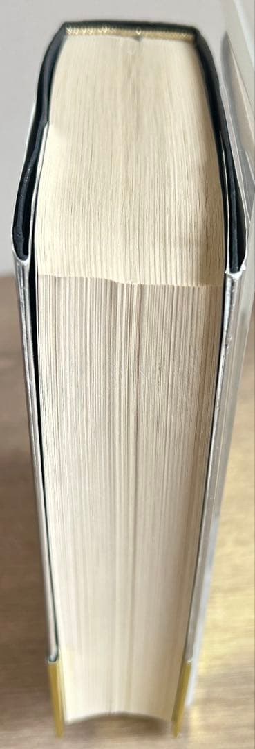 ポケモン・ストーリー 　畠山けんじ／ 久保 雅一