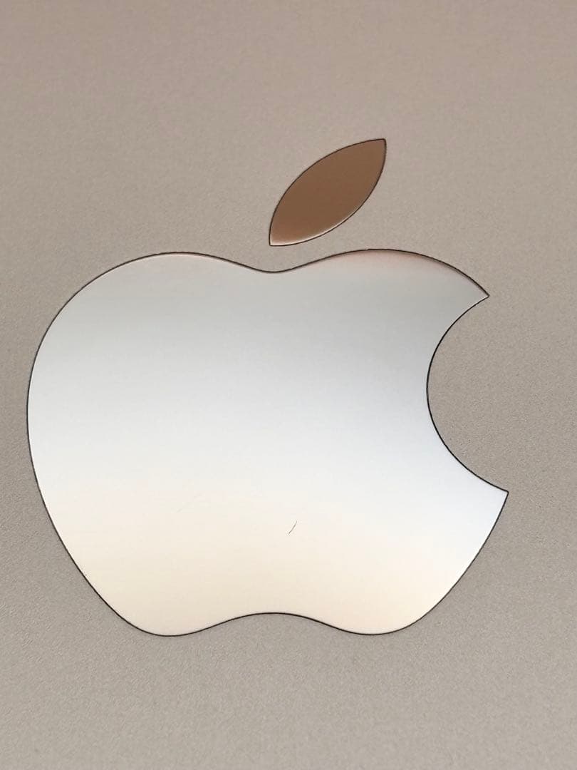 Apple iPad (A16) 第11世代 11インチ Wi-Fi シルバー